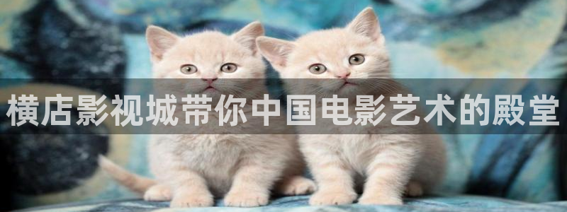 国产爽爽久久影院潘金莲：横店影视城带你中国电影艺术的殿堂