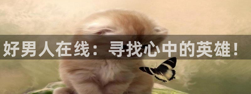 神马三级免费电影久久：好男人在线：寻找心中的英雄！